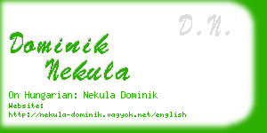 dominik nekula business card